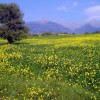 2007.04.01. - Samothraki